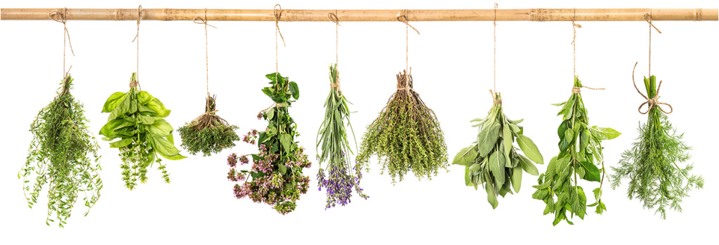 Essential Oils Herbs Hanging