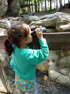 searching with binoculars