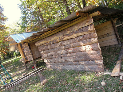 cabin style chicken coop