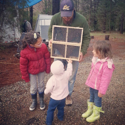 parenting: teaching the kids about bees