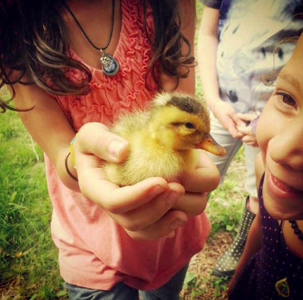 Girls holding a duckling
