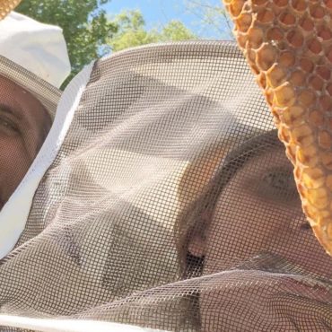 How to start beekeeping, things you should know