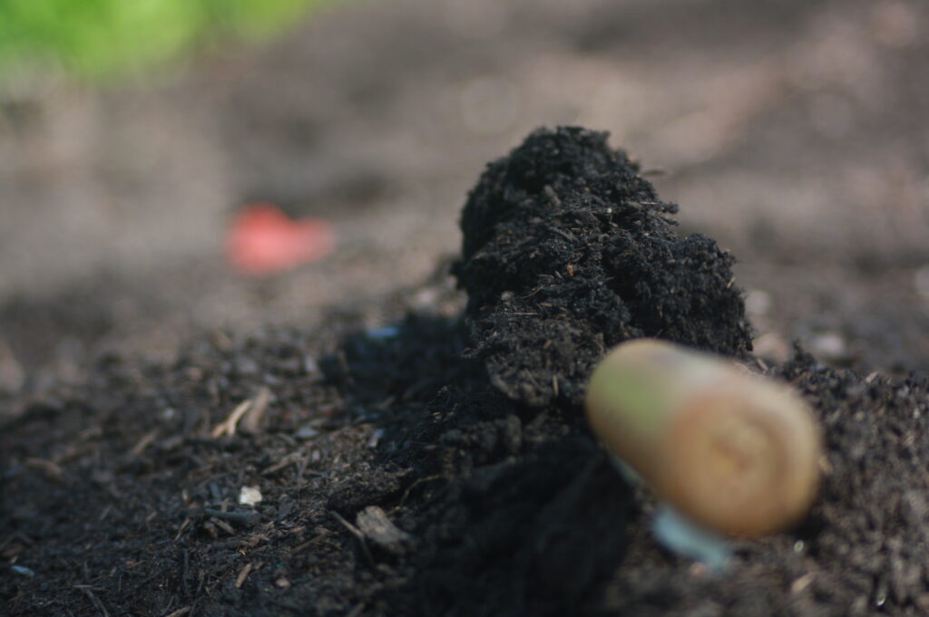 How to start composting the easy way